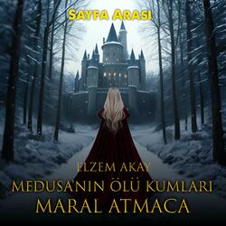 Elzem Akay | Medusanın Ölü Kumları Kitap