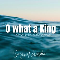O what a King who bled for me