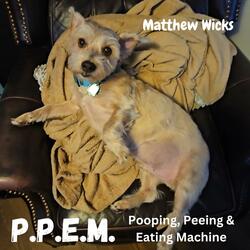 Pooping Peeing and Eating Machine