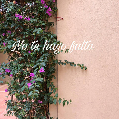 No te hago falta