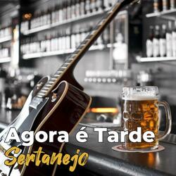 Agora é Tarde