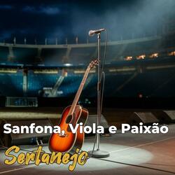 Sanfona, Viola e Paixão