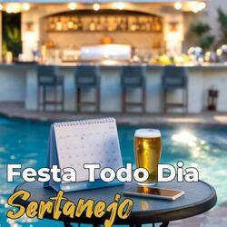 Festa Todo Dia