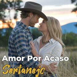 Amor Por Acaso