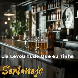 Ela Levou Tudo Que eu Tinha