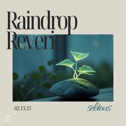 Wet Pavement Melodies