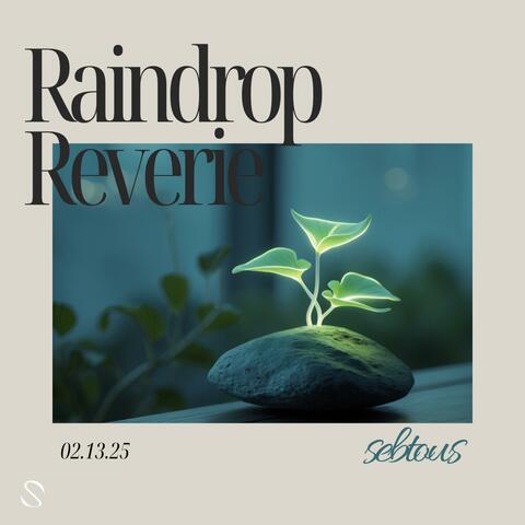 Raindrop Reverie