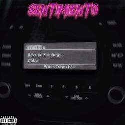 Sentimientos