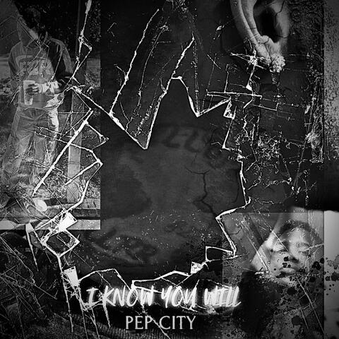 I Know You Will (feat. Quon)