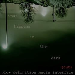 apophasis (feat. qubit)