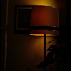 lockdown lullaby