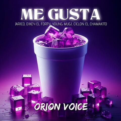 Me Gusta (feat. Young Mugi, Dikey El Forty & Ciclon El Chamakito)