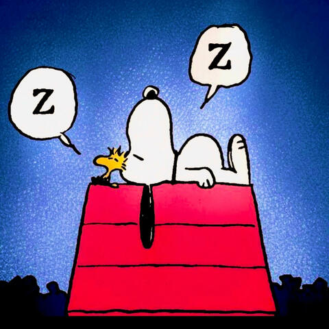 melatonin dreams