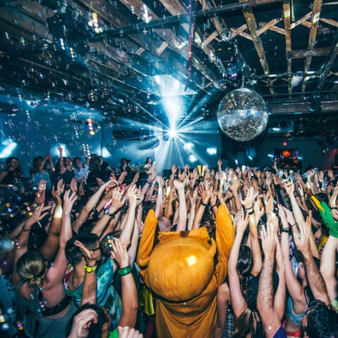 Shut up and dance