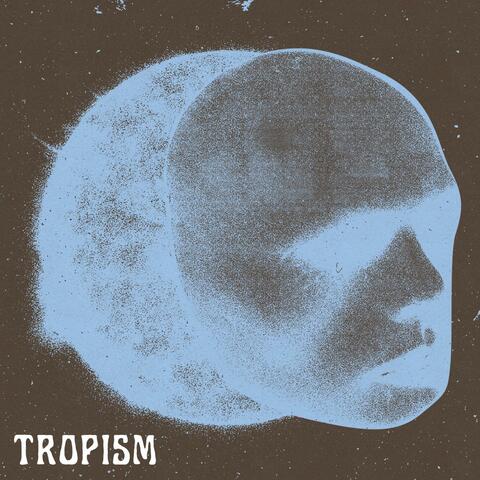 Tropism