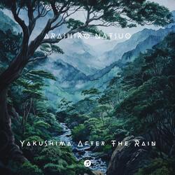 Yakushima After The Rain