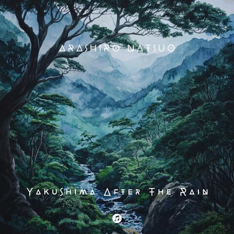Yakushima After The Rain