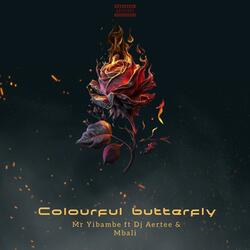 Colourful Butterfly (feat. Mbali Majola & DJ Aertee)
