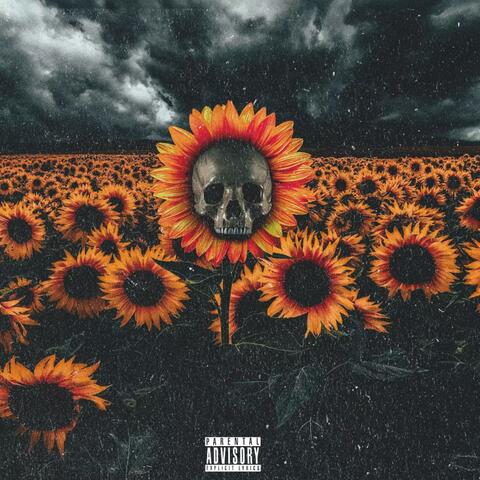 Sunflower Seeds Of Death