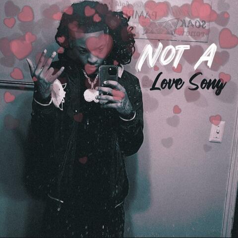 Not A Love Song