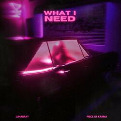 What I Need (feat. Piece Of Karma)