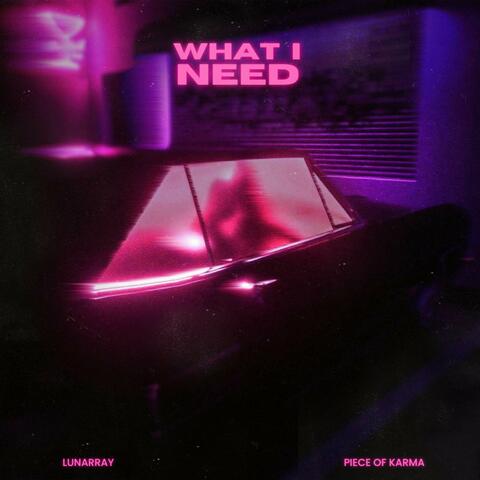 What I Need (feat. Piece Of Karma)