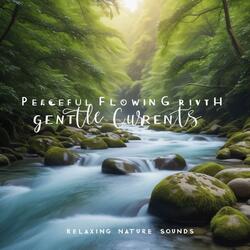 Peaceful Flowing River with Gentle Currents