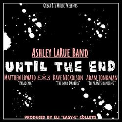 Until The End (feat. Matthew Edward ƸӜƷ & Dave Nickolson)
