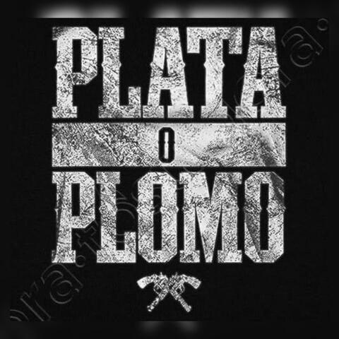 PLATA O PLOMO