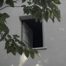 thru the window