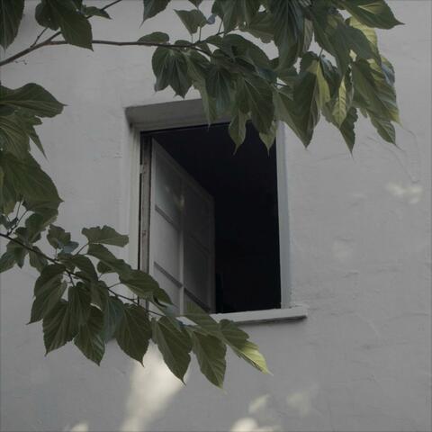 thru the window