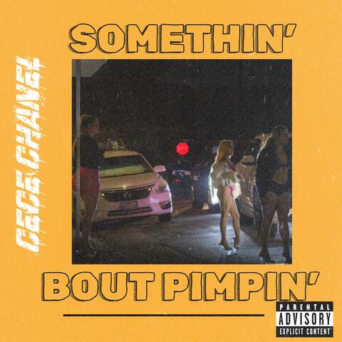 Somethin' Bout Pimpin'