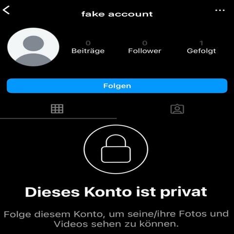 fake account