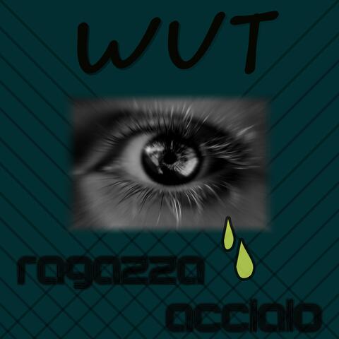 ragazza acciaio