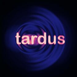 Tardus