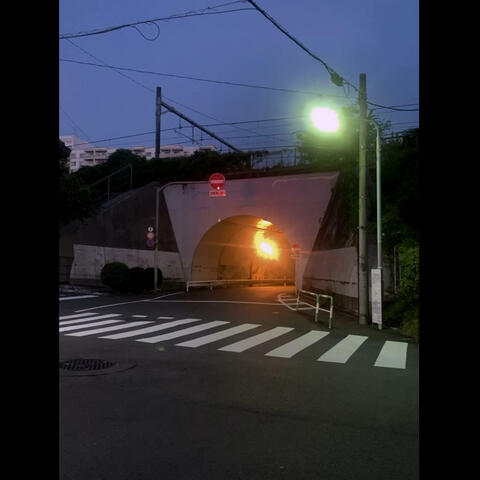 Late night wandering