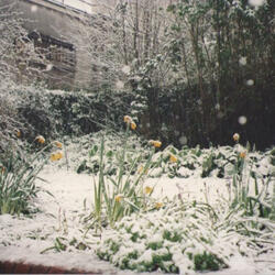 Dip'in Rain (Instrumental V)