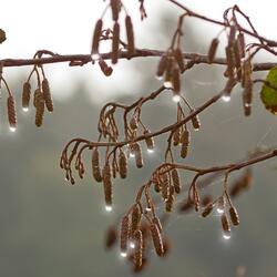 Cold Melancholic Autumn Piano (Original Motion Picture Soundtrack)