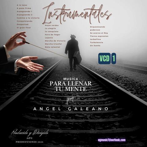 INSTRUMENTALES (VCD1)