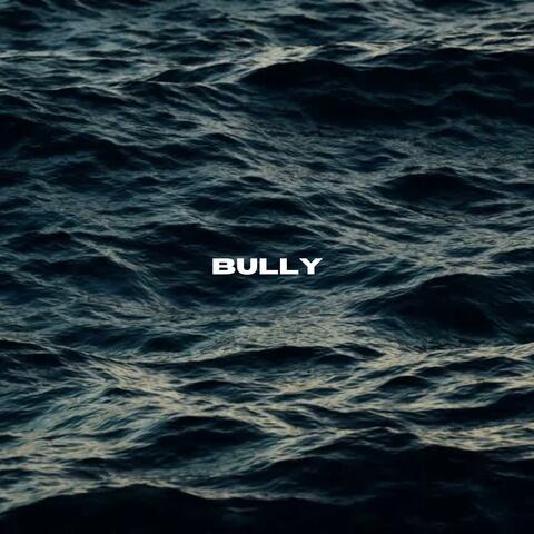 bully (feat. Małach, DJ Kebs & Salvare)