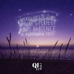 Cricket & Ocean Sounds: Nature’s Perfect Night Ambience for Relaxation & Sleep