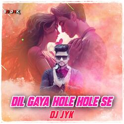 Dil Gaya Hole Hole Se