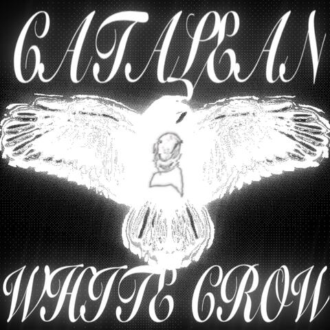 white crow