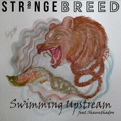 Swimming Upstream (feat. Shaunthadon)