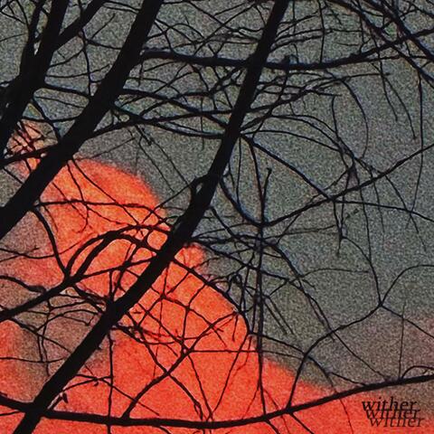 wither
