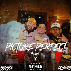 PICTURE PERFECT (feat. Quatro) (Remix)