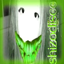 shizodisco (super slowed)