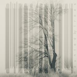 Haunted by Trees