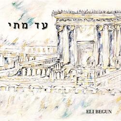 עד מתי