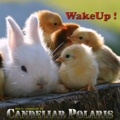 WAKE UP